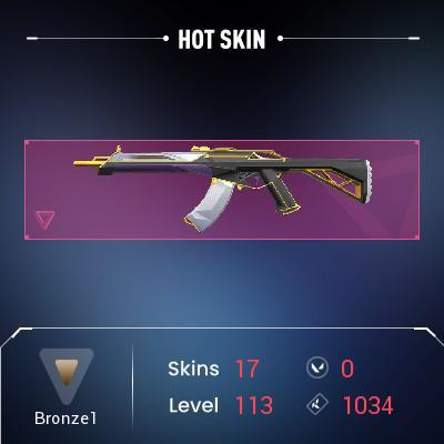 [EU] 17 skins | Artisan Foil | Prime Vandal | Artisan Ghost | Nitro Operator | Artisan Phantom | FULL ACCESS+MAIL