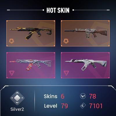 EU | 6 Skins with 5 Premium Skins | .Silver. | Full Access