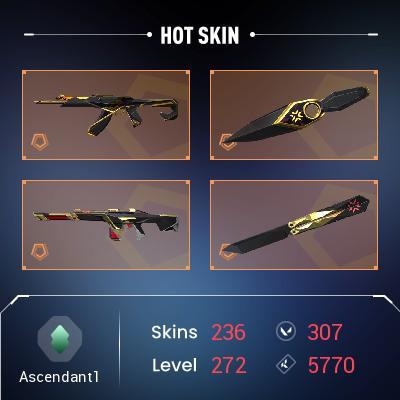 236 skins | 20 knifes | "Champions 2022" Butterfly Knife "Spectrum" Phantom "Araxys" Operator "Prime//2.0" Karambit + mail changable + no phone