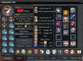 #17 89+1 LEVEL MAGE VALEHIR ACCOUNT