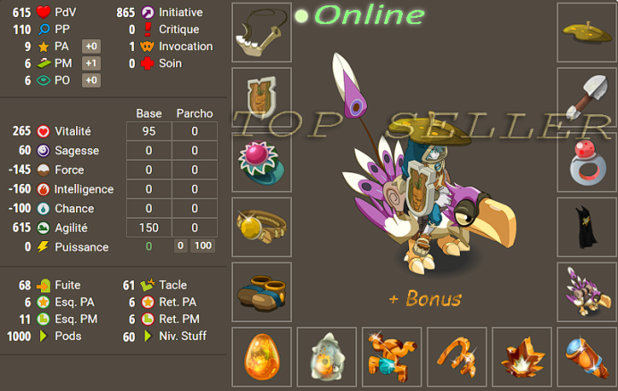 Panoplie Agilite lvl 60 + bonus - livraison 5 minutes