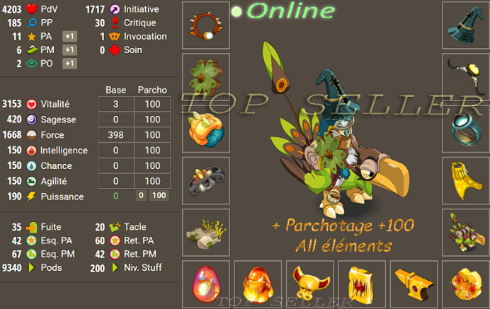 Panoplie terre lvl 200 bon jet + parchotage 100 tout les elements + bonus - livraison 5 minutes