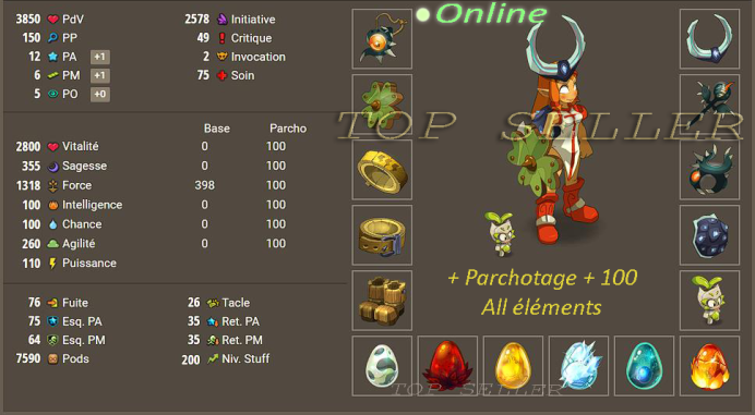 Panoplie lvl 200 terre bon jet + parchotage 100 all elements + bonus - livraison 5 minutes