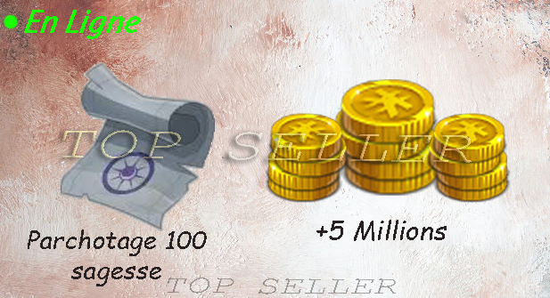Salar : Parchotage + 100 Sagesse + 5.000.000 kamas + Top bonus - livraison 5 minutes
