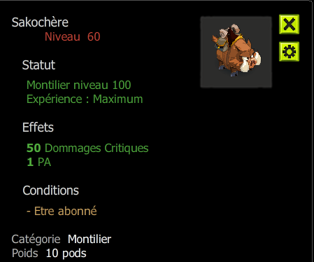 Sakochere lvl 100 (+1 AP + 50 Dommage Critique ) + bonus - livraison 5 minutes . [ Imagiro.Top Seller ]