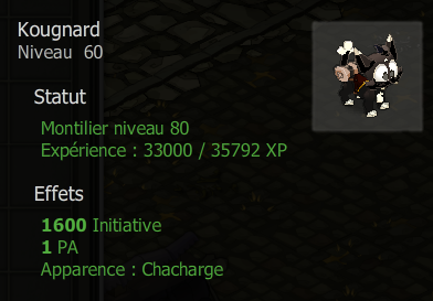 Kougnard + 1.000.000 kamas + bonus - livraison 5 minutes