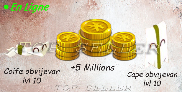 boune : coife obvijevan Ivl 10 + cape obvijevan lvl 10 + 5.000.000 kamas + bonus - livraison 5 minutes
