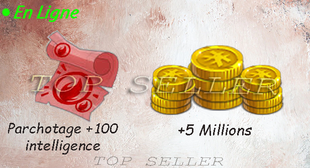 Salar : Parchotage + 100 intelligence + 5.000.000 kamas + Top bonus - livraison 5 minutes
