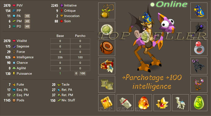 Panoplie intelligence lvl 150 + Parchotage 100 intelligence + bonus - livraison 5 minutes