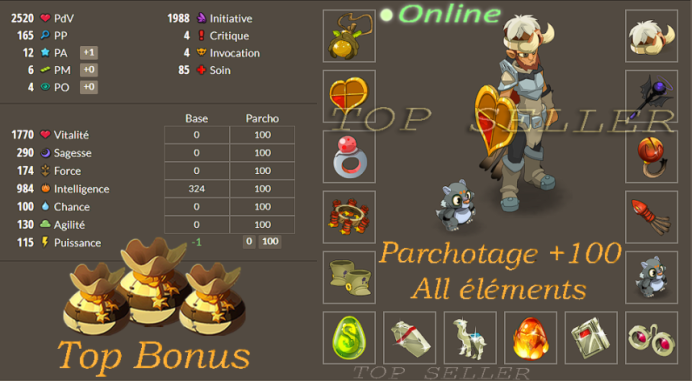 Panoplie intelligence lvl 140 + Parchotage +100 tout elements + Top Bonus - livraison 5 minutes