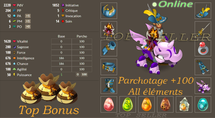 Panoplie intelligence / chance lvl 110 + Parchotage +100 tout elements + Top Bonus - livraison 5 minutes
