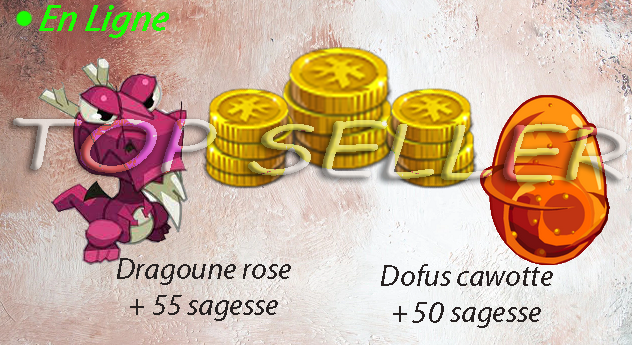 Dragoune rose 55 sagesse + Dofus cawotte 50 sagesse + 2.000.000 kamas + bonus - livraison 5 minutes