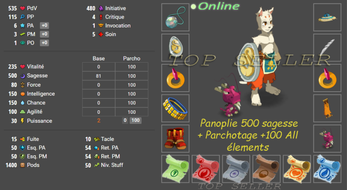 pack Debutant : parchotage 100 all + Panoplie 500 sagesse lvl ( 50-100) + bonus - livraison 5 minutes