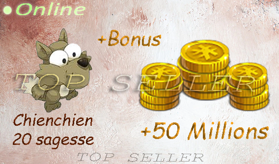 Allisteria : 50.000.000 Kamas + Chienchien +20 sagesse + Bonus - livraison 5 minutes