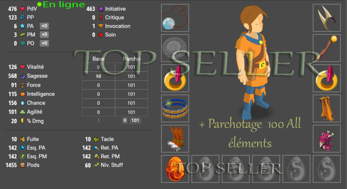 Boune : Panoplie Sagesse lvl 50 + Parchotage 101 all elements + bonus - livraison 5 minutes