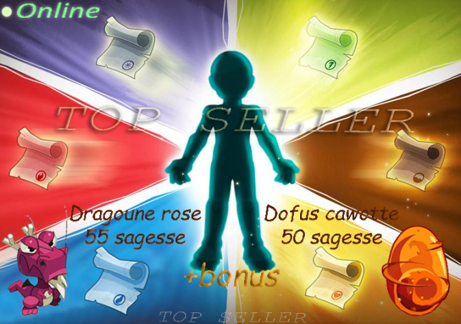 Parchotage + 101 All elements + Dragoune rose + Dofus cawotte + bonus - livraison 5 minutes