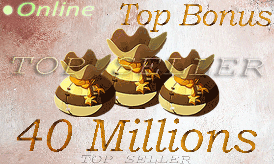 40 000 000 kamas + Top bonus - livraison 5 minutes
