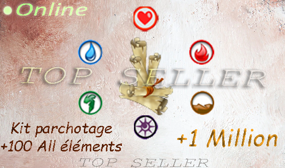 parchotage +100 all elements + 1.000.000 kamas - livraison 5 minutes