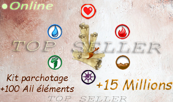 Parchotage + 100 All elements + 15.000.000 kamas + bonus - livraison 5 minutes