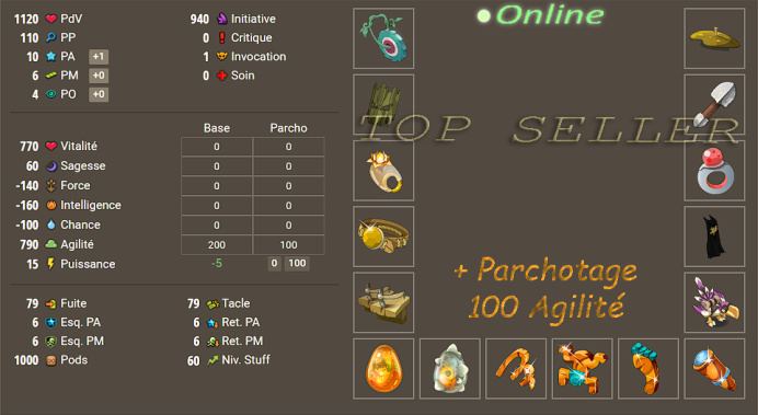 Hellmina : Panoplie Agilite lvl 60 pour tout les classes + Parchotage +100 Agilite + bonus - Delivery : 5 minutes