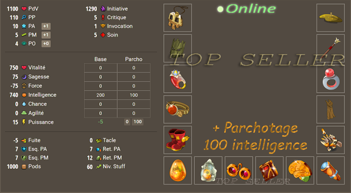 Hellmina : Panoplie intelligence lvl 60 pour tout les classes + Parchotage +100 intelligence  + bonus - Delivery : 5 minutes