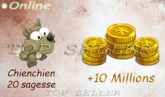 10 000 000 kamas + chienchien 20 sagesse + Top bonus kamas - livraison 1 minute