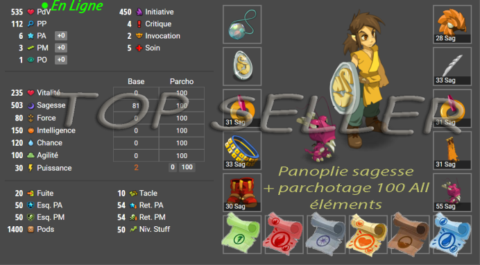 pack Debutant : Kit parchotage 100 all + Panoplie 503 sagesse lvl ( 50-100) + 10.000.000 kamas + bonus - livraison 5 minutes