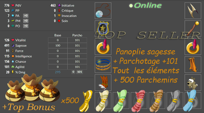 boune : Kit debutant : panoplie sagesse + Parchotage +101 All elements + 500 parchemins doree  + Top Bonus - livraison  : 5 minutes
