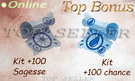 Kit parchotage +100 sagesse + Kit parchotage +100 chance + Top bonus - livraison 5 minutes