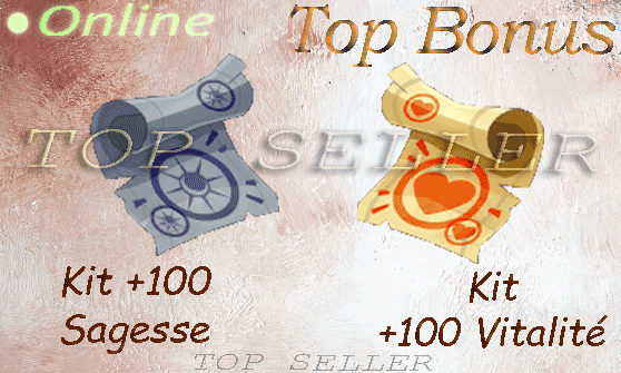 Kit parchotage +100 sagesse + Kit parchotage +100 vitalite + Top bonus - livraison 5 minutes