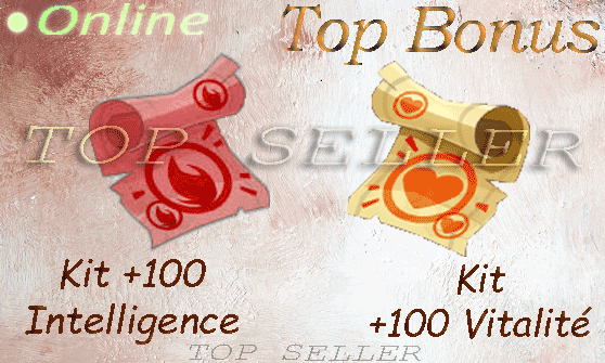 Kit parchotage +100 intelligence + Kit parchotage +100 vitalite + Top bonus - livraison 5 minutes