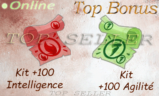 Kit parchotage +100 intelligence + Kit parchotage +100 agilite + Top bonus - livraison 5 minutes