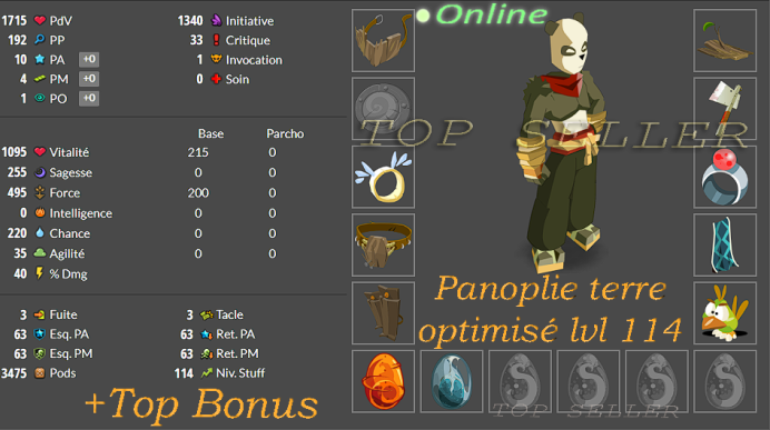 Panoplie Terre Opti  lvl 114 + Top Bonus - livraison 5 minutes