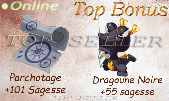 kit parchotage +101 sagesse + dragoune Noire +55 sagesse + Dofus cawotte +50 sagesse + bonus - livraison 5 minutes