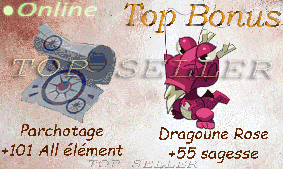 Kit Parchotage +101 tout les elements + Dragoune rose +55 sagesse + Dofus cawotte +50 sagesse + Top Bonus - livraison expresse : 5 minutes