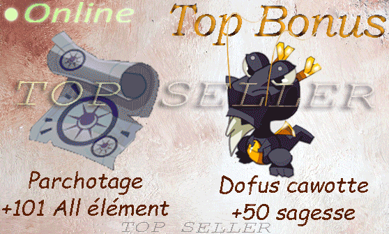 Kit Parchotage +101 tout les elements + Dragoune Noire +55 sagesse + Dofus cawotte +50 sagesse + Top Bonus - livraison expresse : 5 minutes
