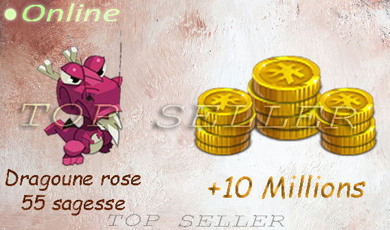 Allisteria : Dragoune rose +55 sagesse + 10.000.000 kamas + bonus - livraison 5 minutes