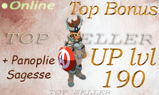 boune : Commande pl ( up lvl 190 ) + Panoplie sagesse + Top Bonus