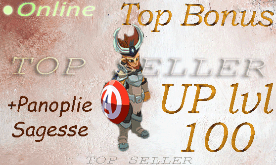 Boune : Commande pl ( up lvl 100 )  + Panoplie sagesse + Top Bonus