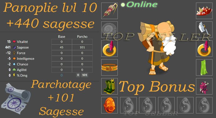 Falanster : Panoplie sagesse lvl 10 + parchotage 101 sagesse + dragoune  55 sagesse + dofus cawotte 50 sagesse + Top Bonus - livraison 5 minutes