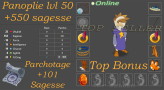 Panoplie sagesse lvl 50 + Kit parchotage +101 sagesse + tifoux 55 sagesse + dofus cawotte +50 sagesse + Top Bonus - livraison 5 minutes