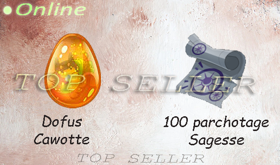 Kit parchotage +100 Sagesse + dofus cawotte - livraison 5 minutes