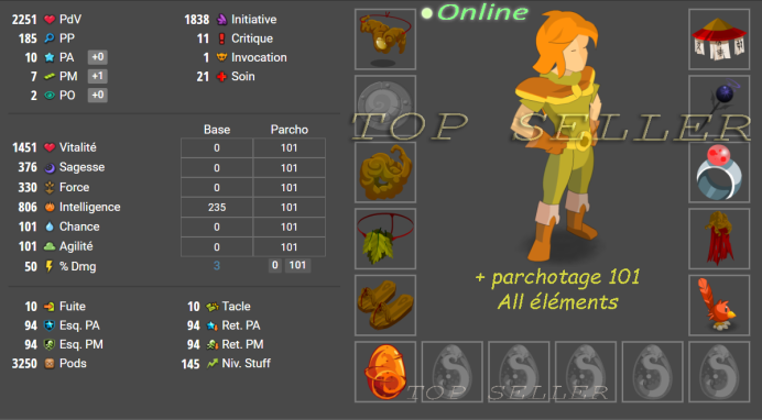panoplie +800 intelligence lvl 150 ( 10pa/7pm ) + parchotage 101 all elements + bonus - livraison 5 minutes