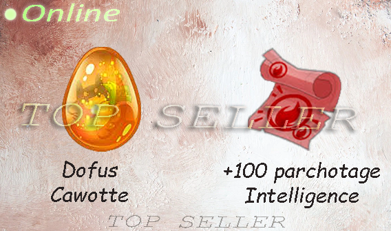 Draconiros : Kit parchotage +100 intelligence + dofus cawotte  - livraison 5 minutes