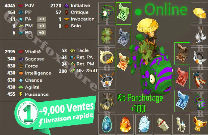 Imagiro>[ Panoplie Niveau 200 multi Opti 11P-A 6PM 6PO ] + 5 M+ Kit parchotage tout les elements