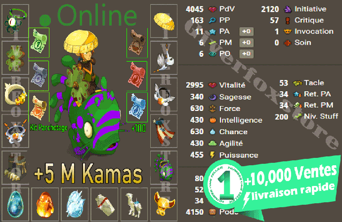 Hellmina>[ Panoplie Niveau 200 multi Opti 11P-A 6PM 6PO ] + [ Kit parchotage tout les elements ] + [ 5M Kamas Bonus ] - (Best Deal)