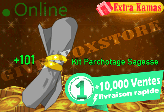 [ Parchemin +101 Sagesse ] +BONUS - Livraison 5 Minutes
