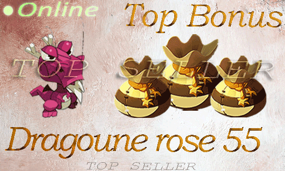 Dragoune rose +55 sagesse + Top bonus - livraison 5 minutes