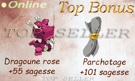 Boune : Dragoune rose +55 sagesse + Parchotage +101 Sagesse + Top Bonus - livraison Expresse : 5 minutes