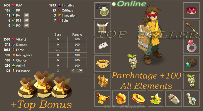 Talkasha : Panoplie terre lvl 180 opti + Parchotage +100 all elements + bonus - livraison 5 minutes